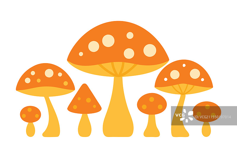 发光的露珠橙色蘑菇组合图片素材