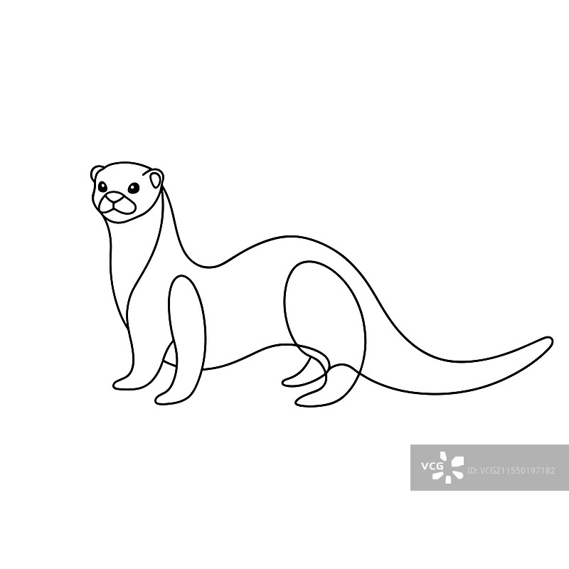 白色背景上的海獺动物连续线条艺术图图片素材