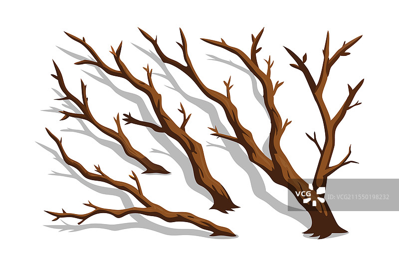 逼真的树枝阴影平面集合白色图片素材