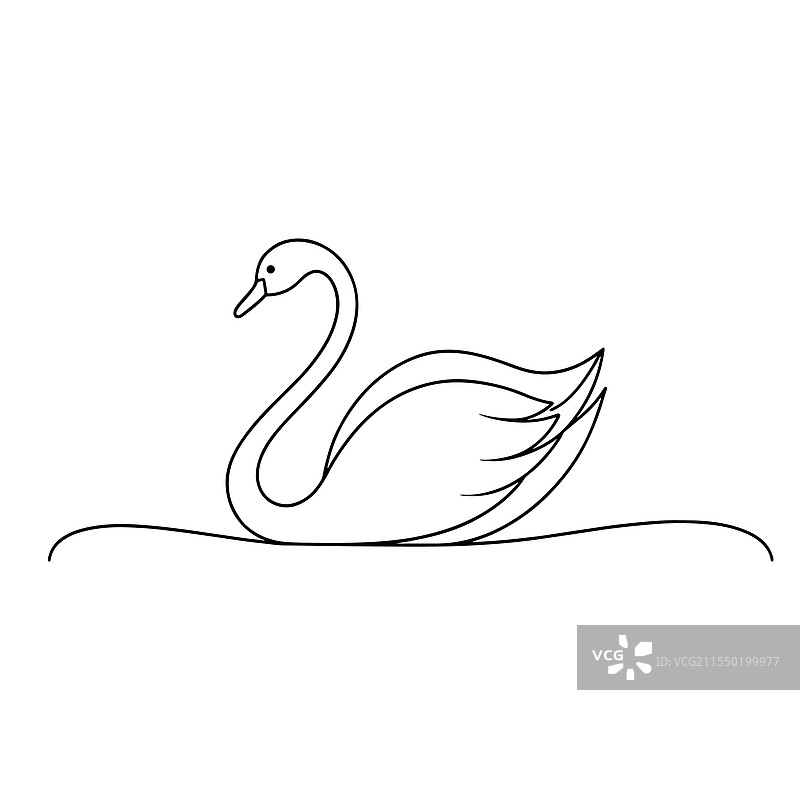 白色背景上的天鹅鸟连续线条艺术图图片素材