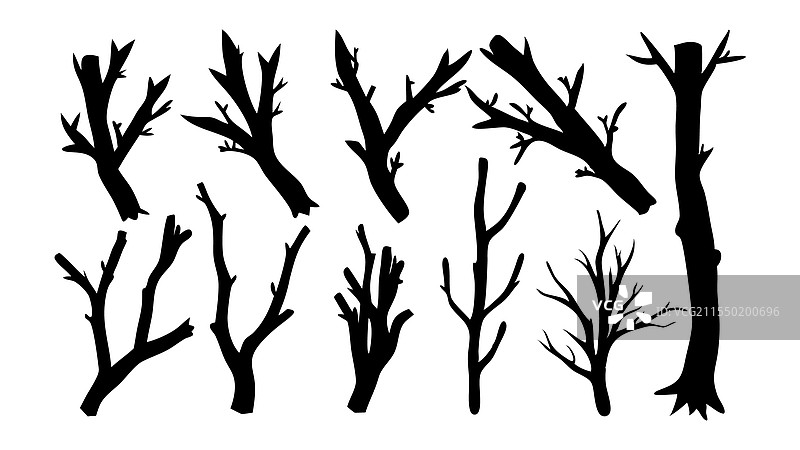 树枝和树杈剪影集，孤立平面设计图片素材