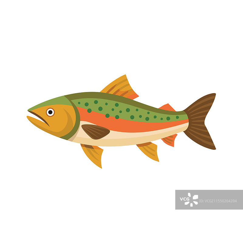 孤立在白色背景上的刀鱼图片素材