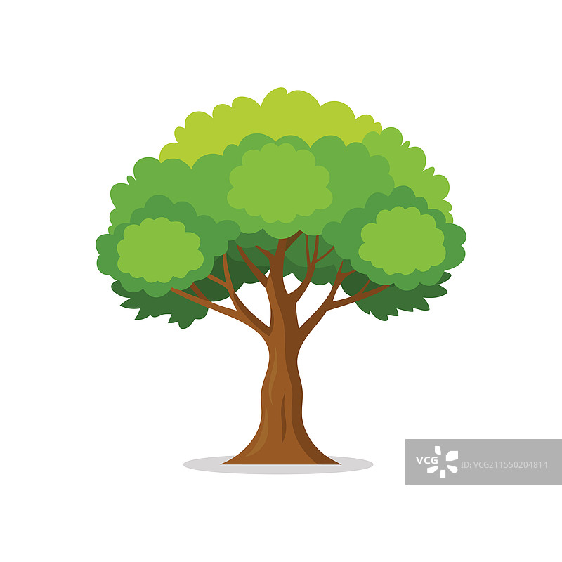 孤立的榛子树平放在白色背景上图片素材