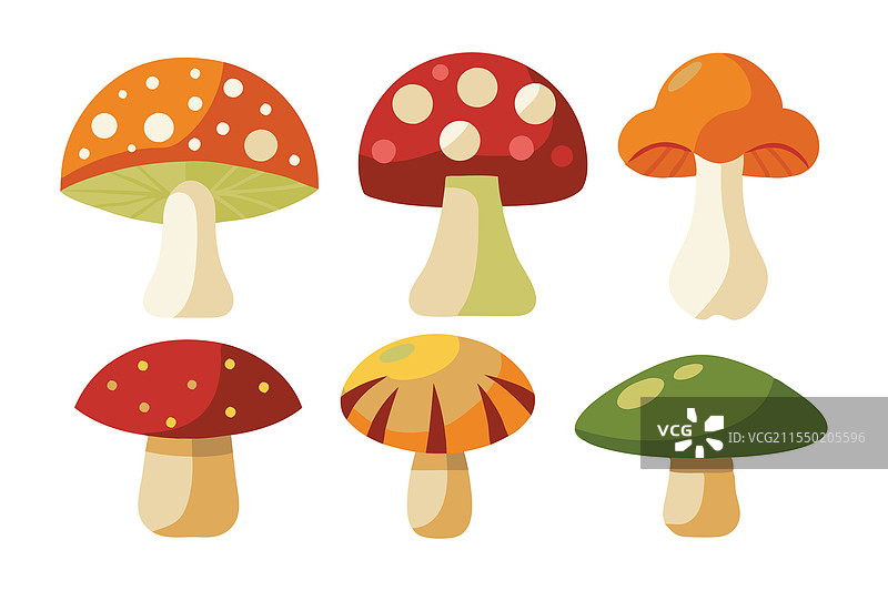 蘑菇组合，孤立在白色背景上图片素材