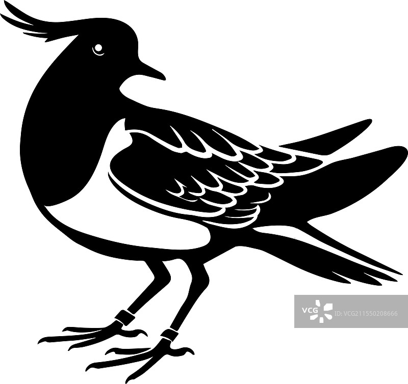 一只简单的反嘴鹬剪影图片素材