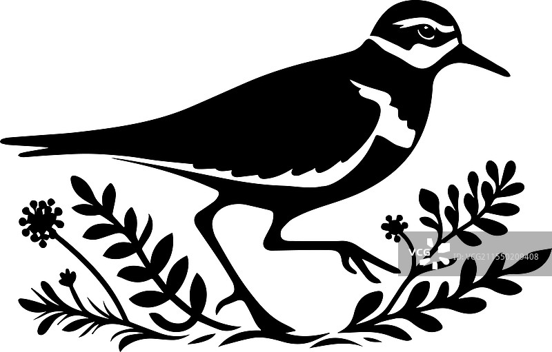 一只优雅的鸻鸟轮廓图像图片素材