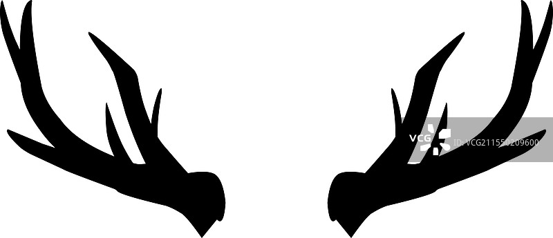 鹿角 哺乳动物 野生动物 野生生物图片素材
