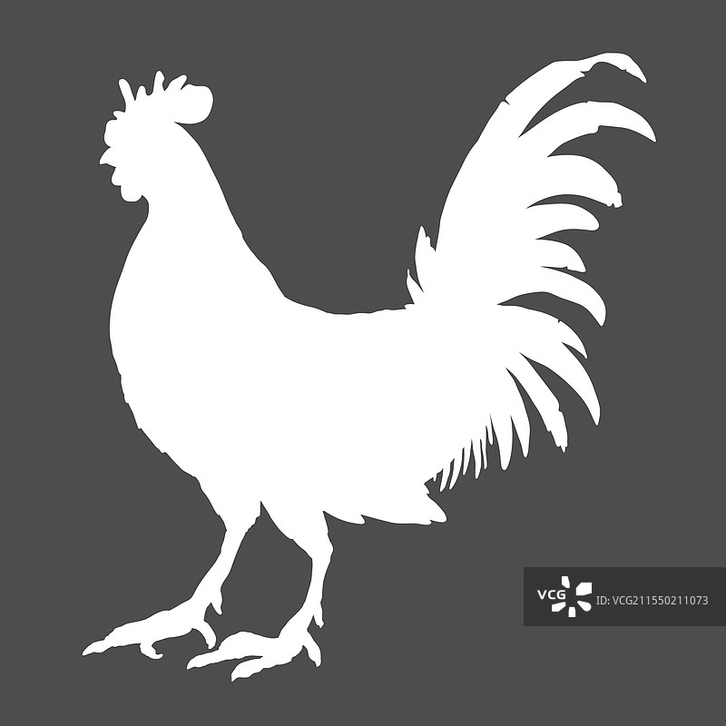 公鸡的剪影图片素材