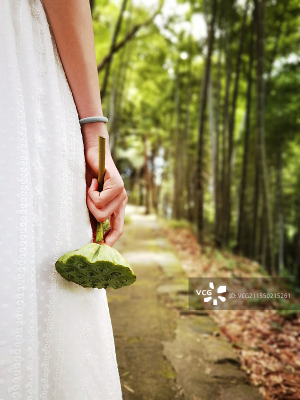 清新夏日，在莫干山手拿莲蓬漫步竹林，悠然自得。图片素材