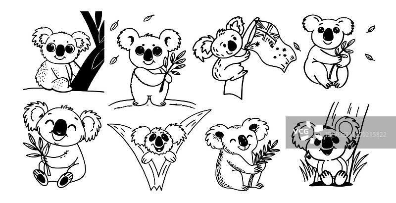 为澳大利亚日涂鸦的考拉图片素材