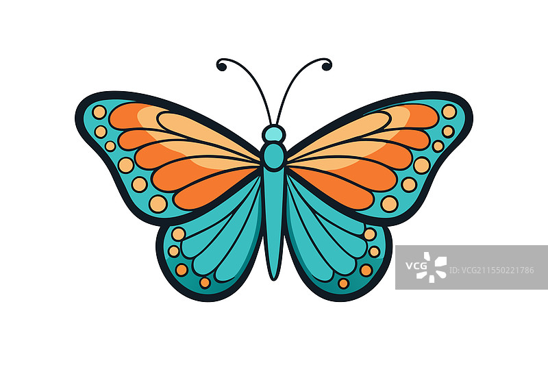 色彩斑斓的蝴蝶，翅膀细节丰富图片素材