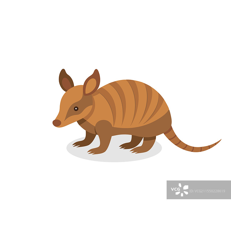 孤立的犰狳平躺在白色背景上图片素材