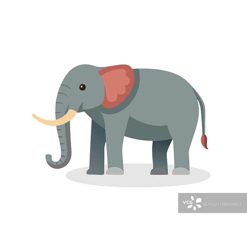 孤立的亚洲象，背景为白色平面图片素材