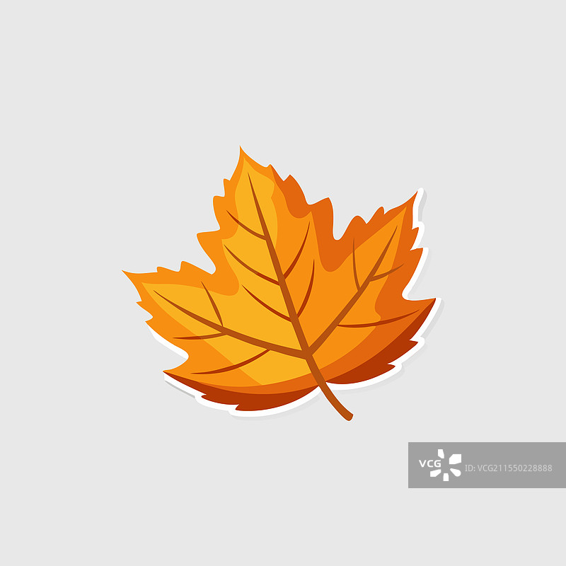 秋天的叶子贴纸，孤立在白色背景上图片素材