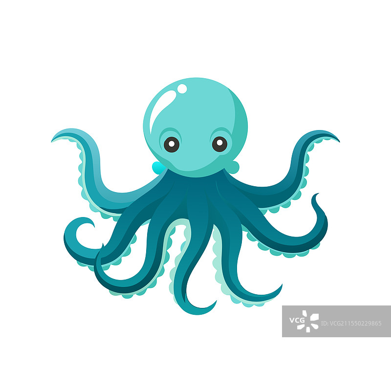 水下生物发光的章鱼图片素材