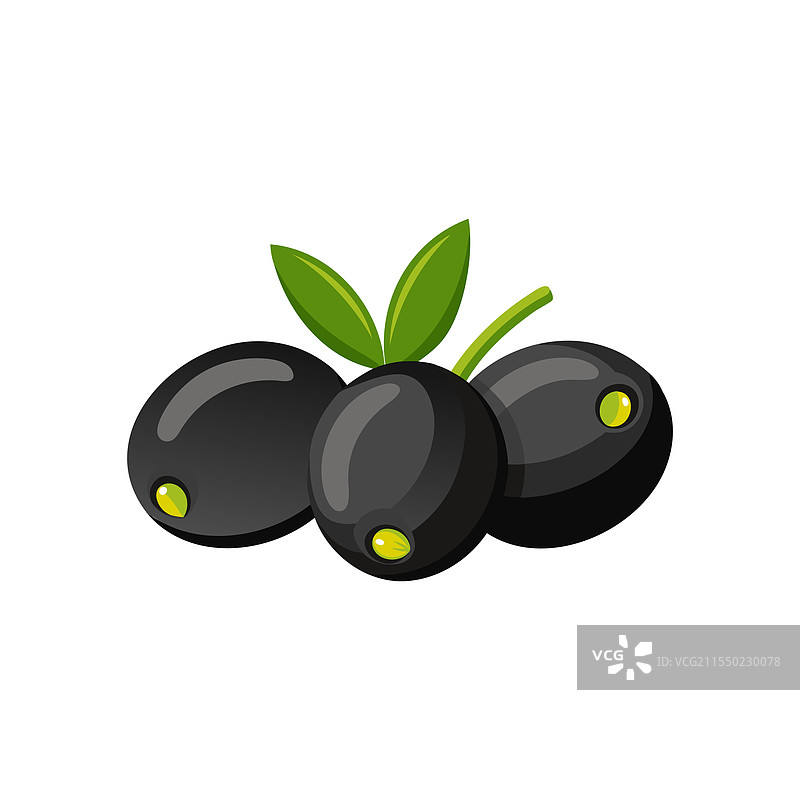 黑橄榄在白色背景上孤立摆放图片素材