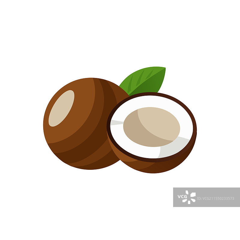 椰子在白色背景上平铺孤立展示图片素材