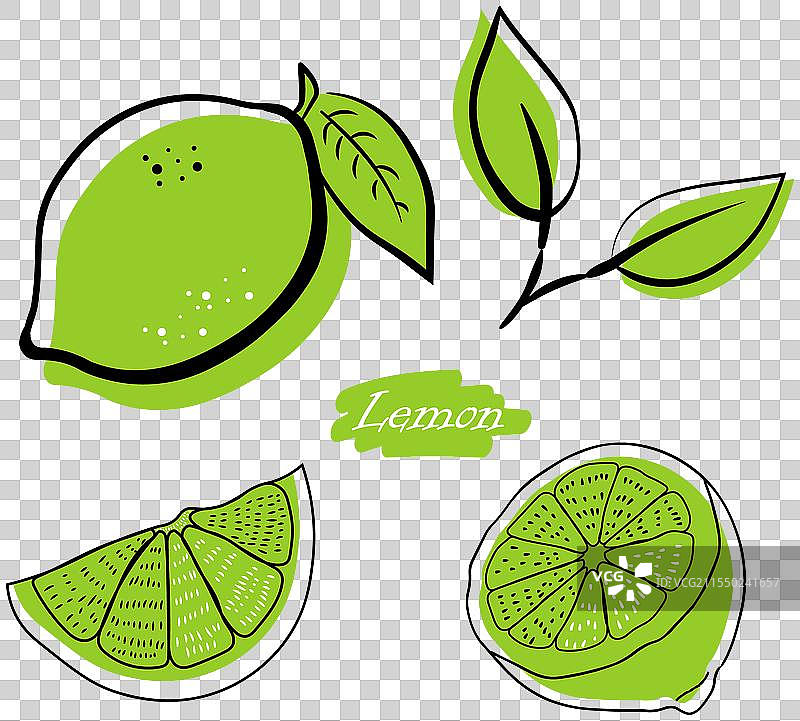 逼真的水果组合，包含完整的水果图像图片素材