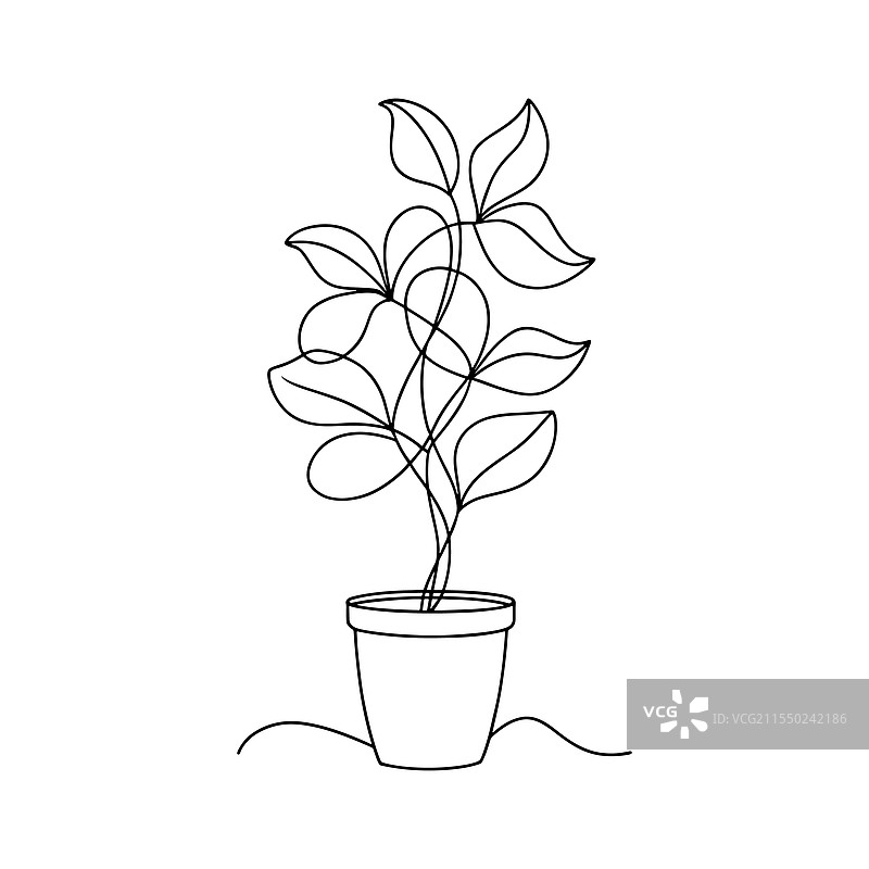 乳突花连续线条艺术平面图图片素材