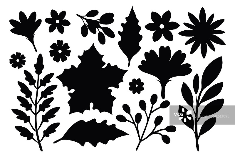 花卉植物自然图形叶子花卉套装图片素材