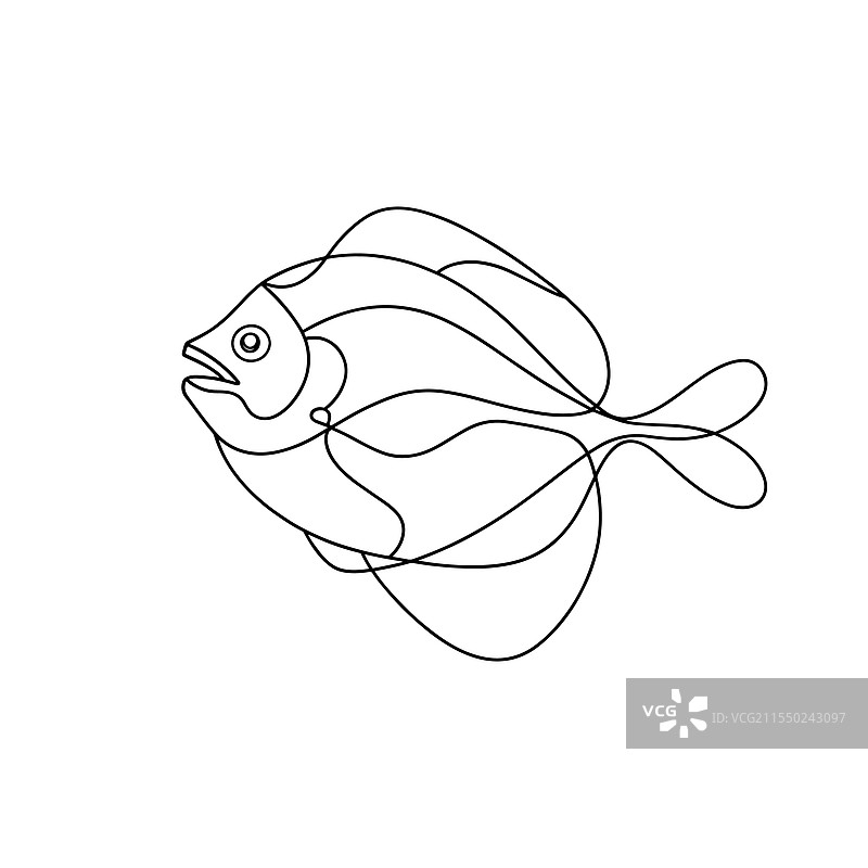 比目鱼连续线条艺术，白色背景上平铺图片素材