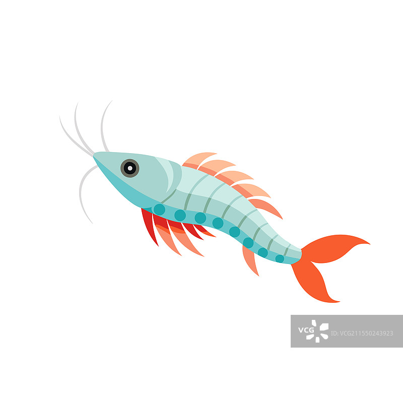 孤立在白色背景上的幽灵虾鱼图片素材