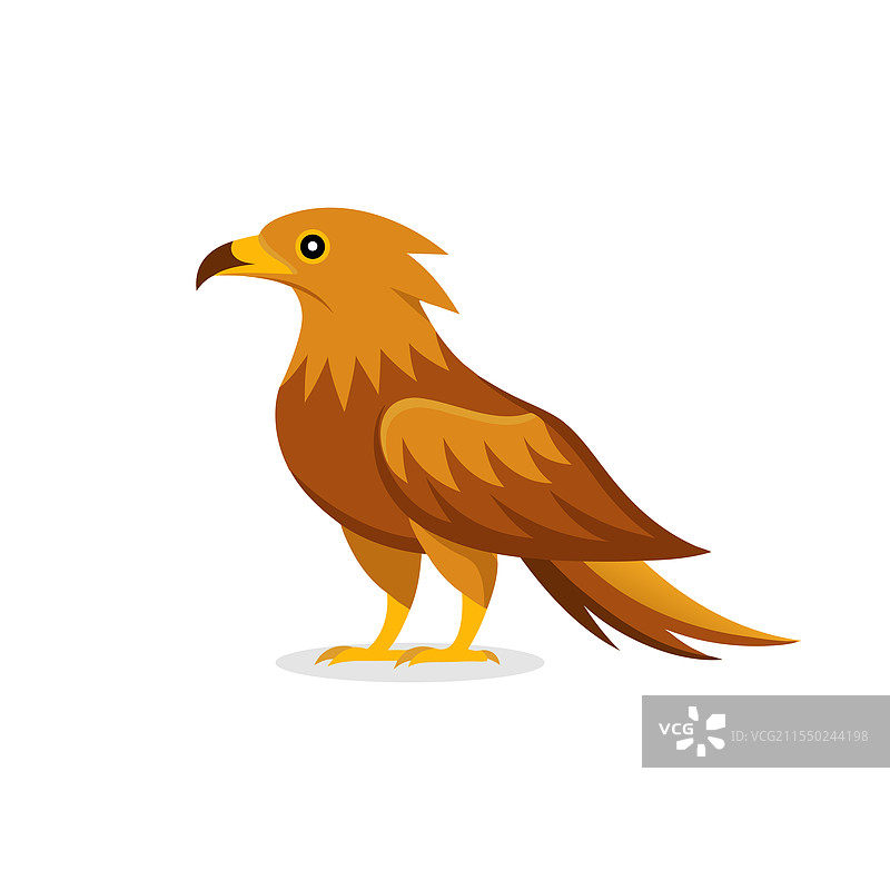 孤立在白色背景上的金雕鸟图片素材