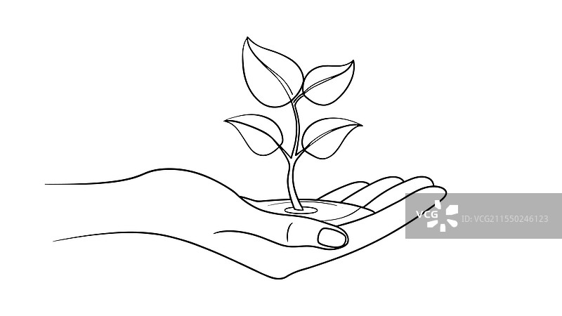 手握小植物的连续线条艺术图片素材
