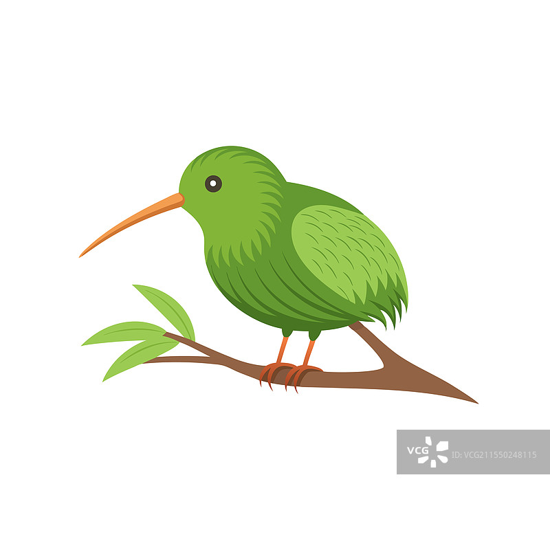 孤立在白色背景上的奇异鸟栖息在树枝上图片素材