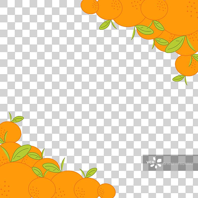 带叶子的橙子和蜜柑形成一个图片素材