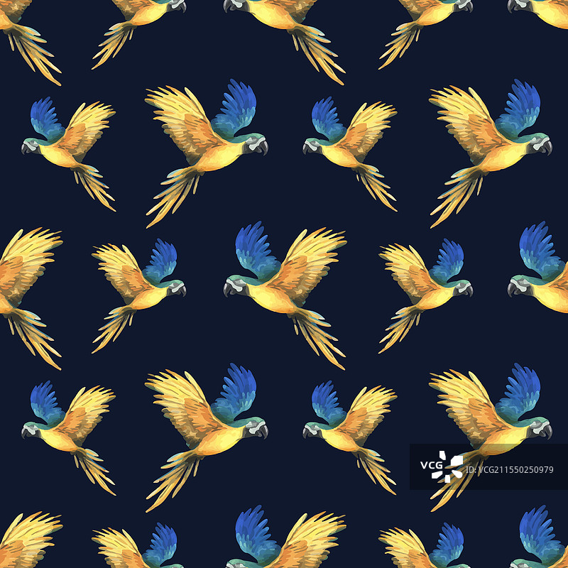 热带飞翔的蓝黄金刚鹦鹉与手图片素材