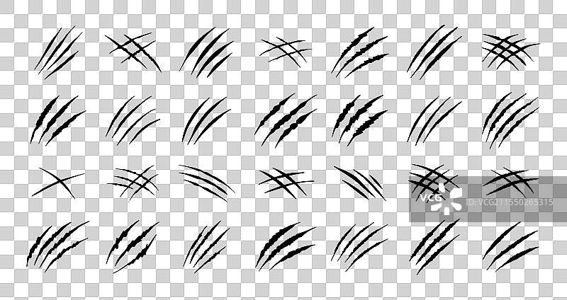 孤立的黑熊爪子划痕与老虎爪子图片素材