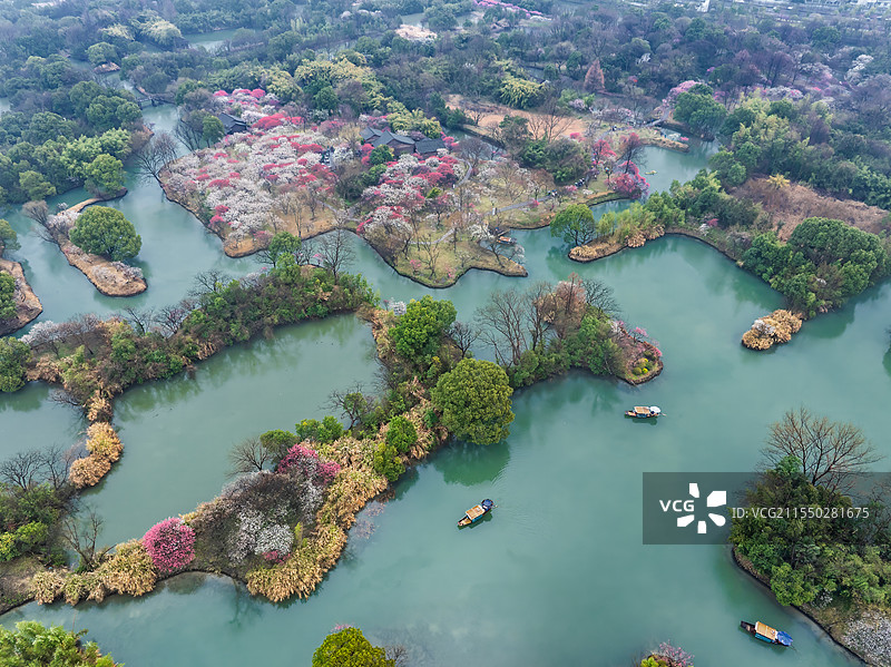 西溪湿地春天烟雨中的梅花图片素材