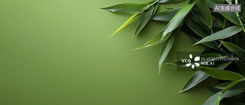 【AI数字艺术】绿色竹叶背景图片素材