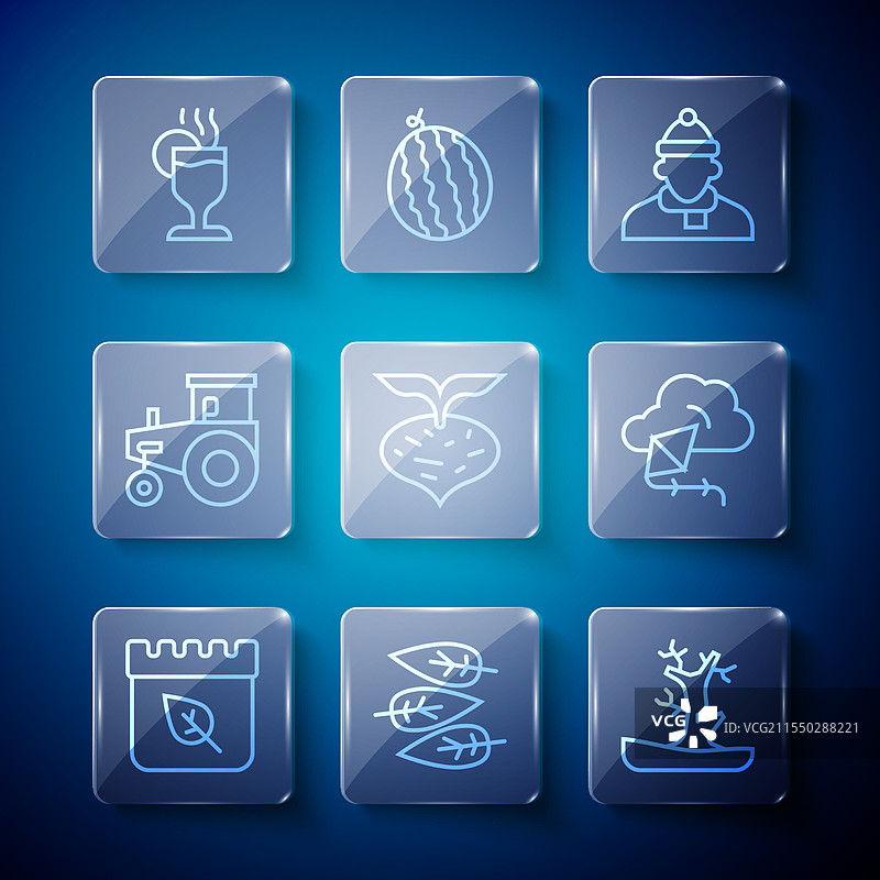 秋季落叶或光秃的树木的日历排版图片素材