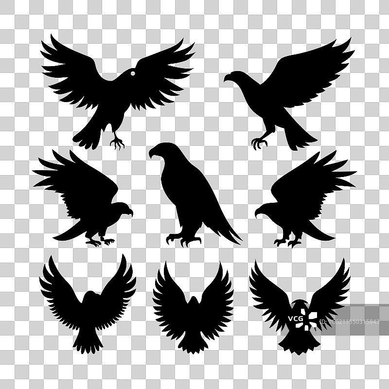 雄鹰剪影系列，一种雄伟的鸟类图片素材