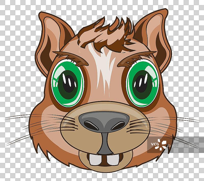 白色背景上的地鼠肖像图片素材