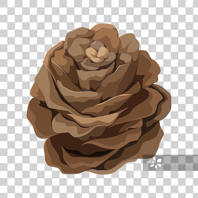 一个松果图片素材