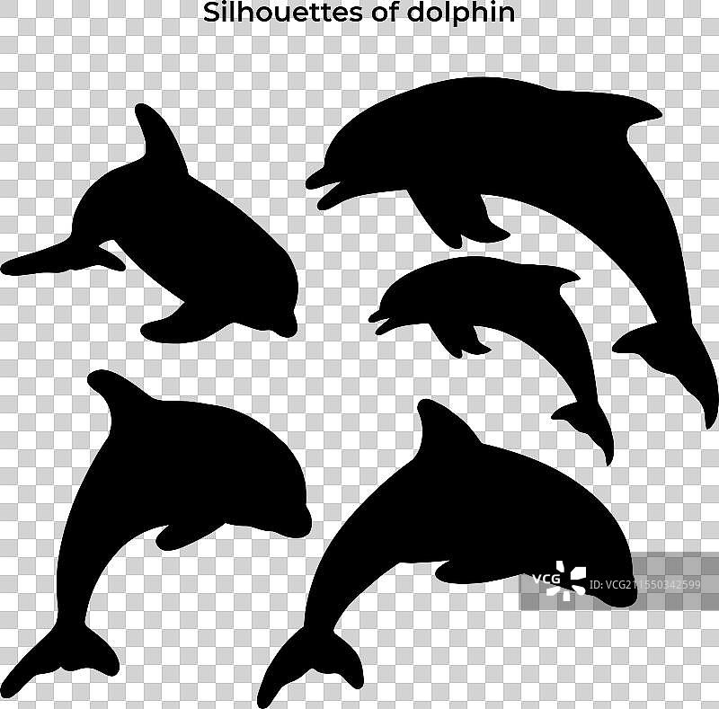 海豚剪影图形图片素材