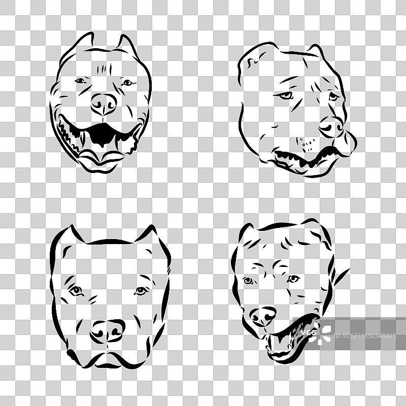 手绘草图美国班狗图片素材