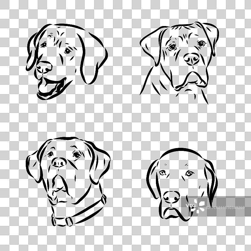 手绘的美国斗牛犬图形草图图片素材