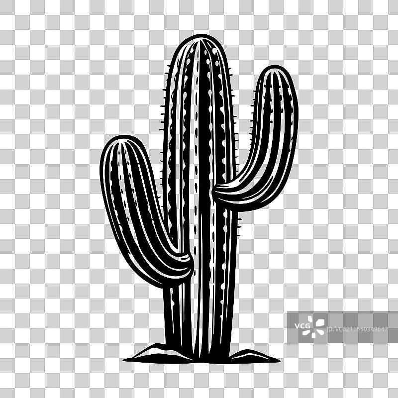 仙人掌剪影插图图片素材