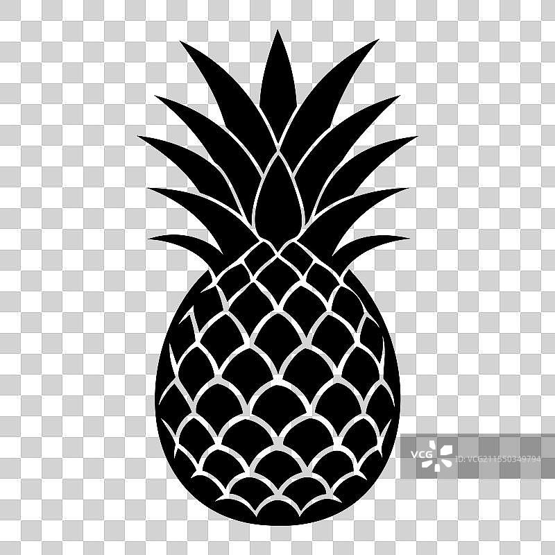 热带菠萝剪影图片素材