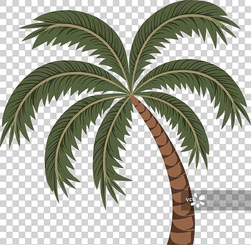 简单扁平风格的树木设计，背景为白色图片素材