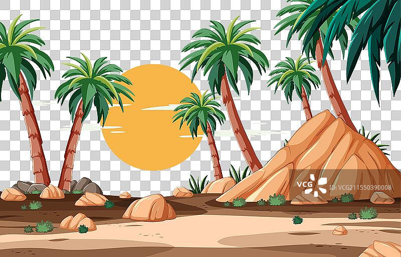 落日下的棕榈树和岩石图片素材
