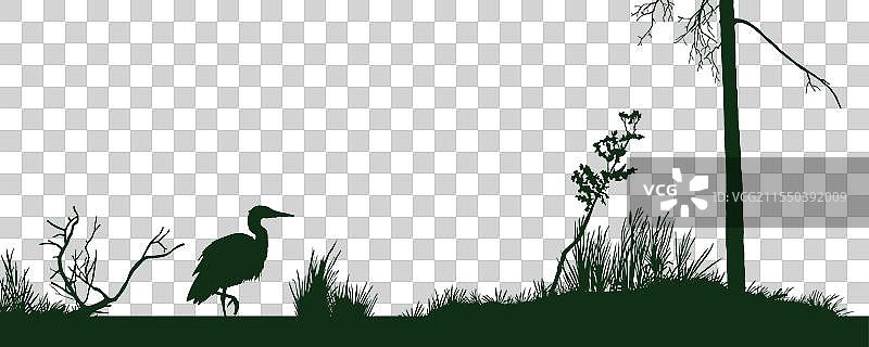 孤立的沼泽剪影湿地场景绘画图片素材