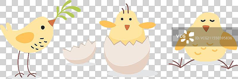 可爱的小复活节鸟类套装，黄色小鸡图片素材