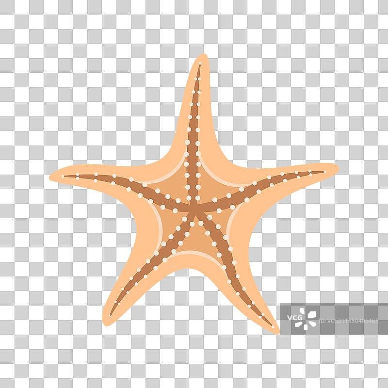 扁平风格的海星图标，孤立展示图片素材