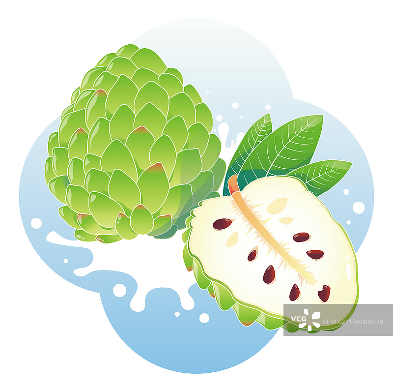 释迦果番荔枝图片素材