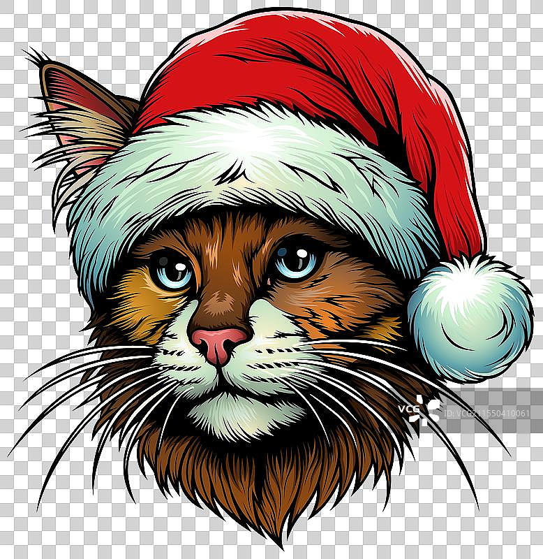 猫头戴圣诞老人帽图片素材